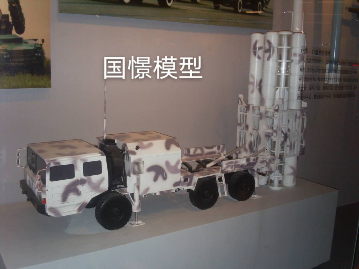 扬中市车辆模型