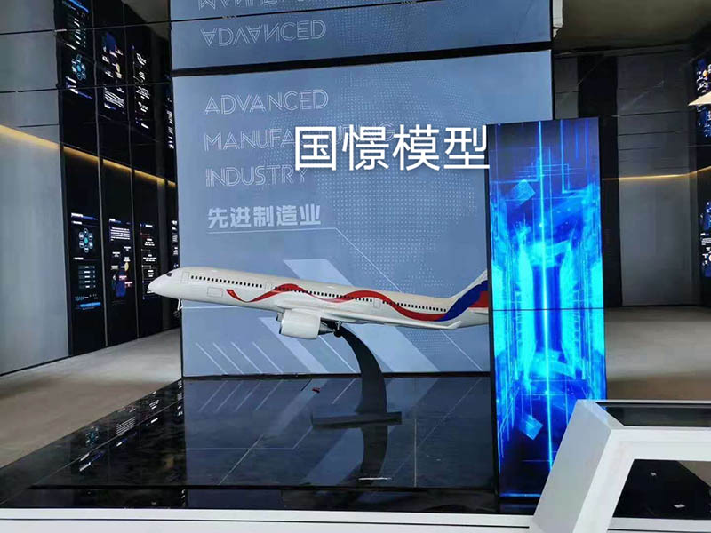 扬中市飞机模型